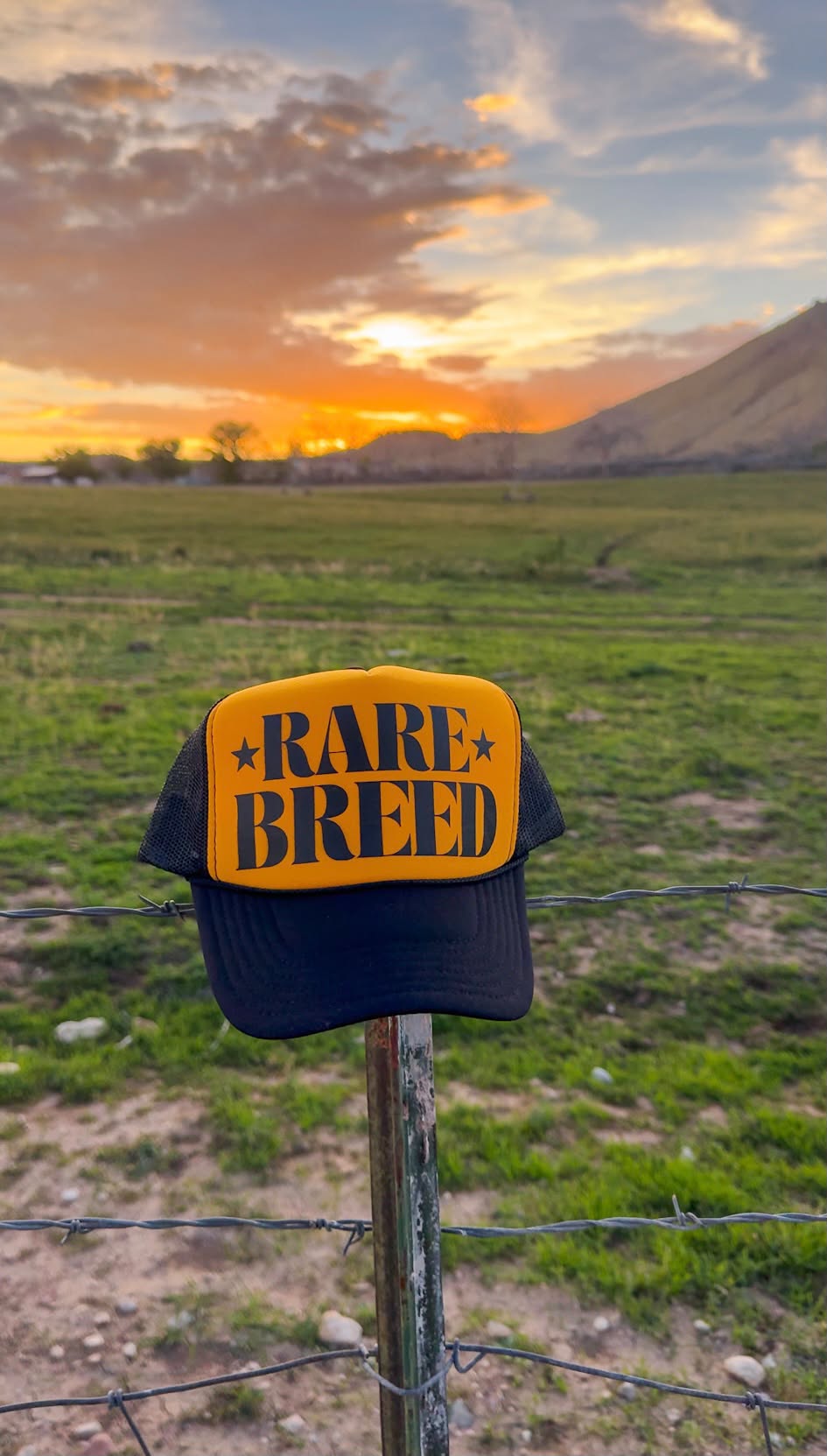 RARE BREED TRUCKER HAT