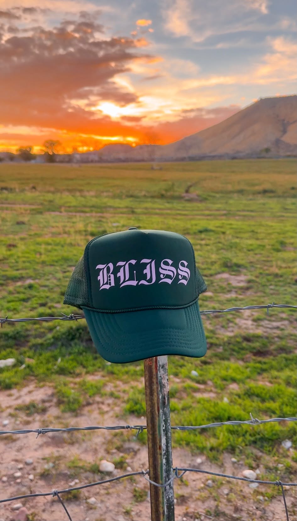 BLISS TRUCKER HAT